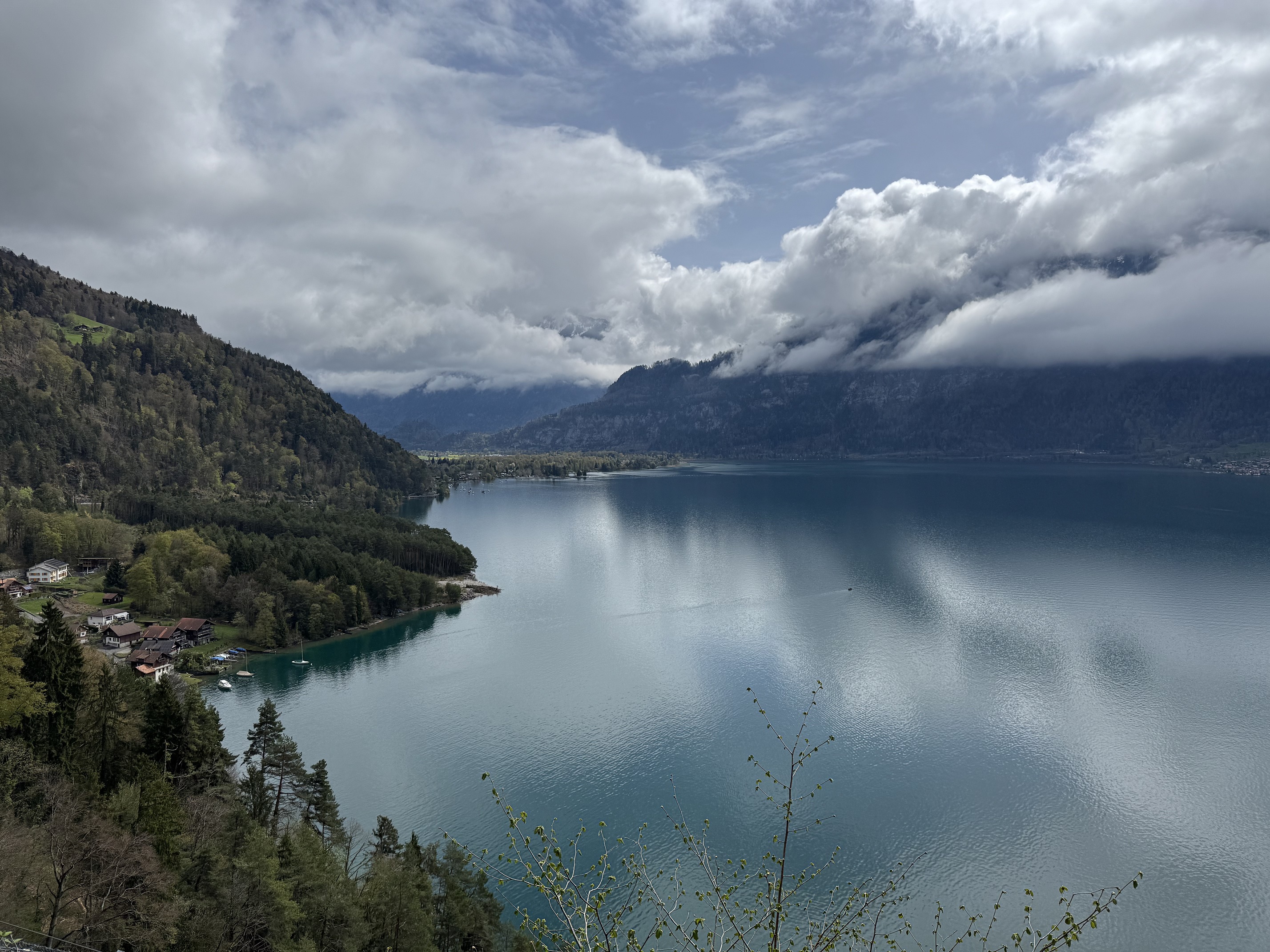 The view out over Lake Thun towards Interlaken