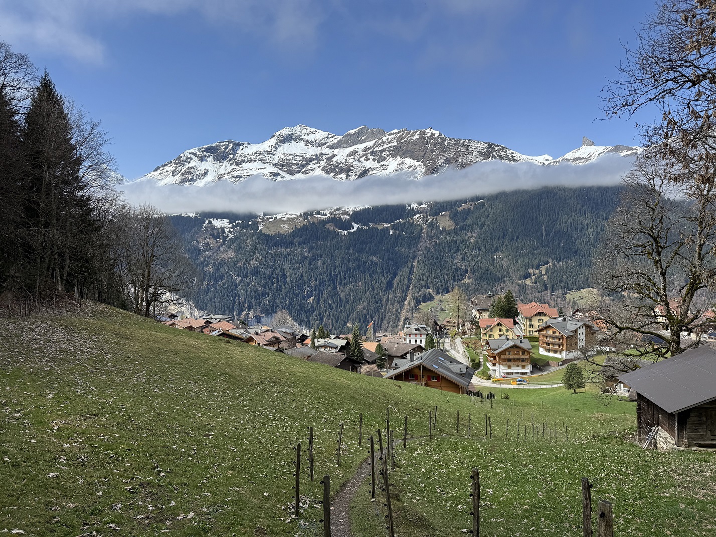 From Wengen, the Bietenhorn mountain peak rises through the clouds
